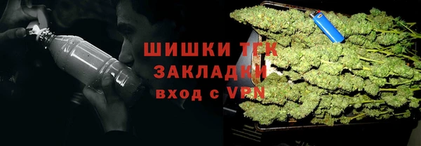 молекула духа Елизово