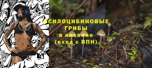 mdpv Дмитриев