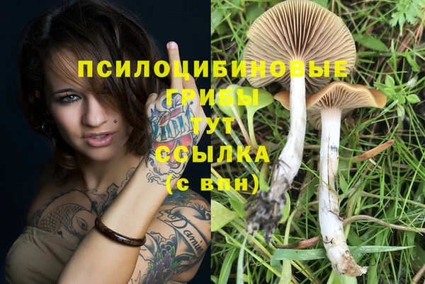 мдпв Хадыженск
