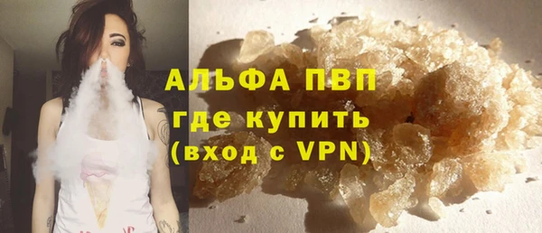 прущие грибы Дмитров